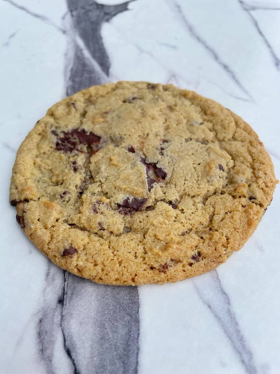 Chocolate Chip Cookie