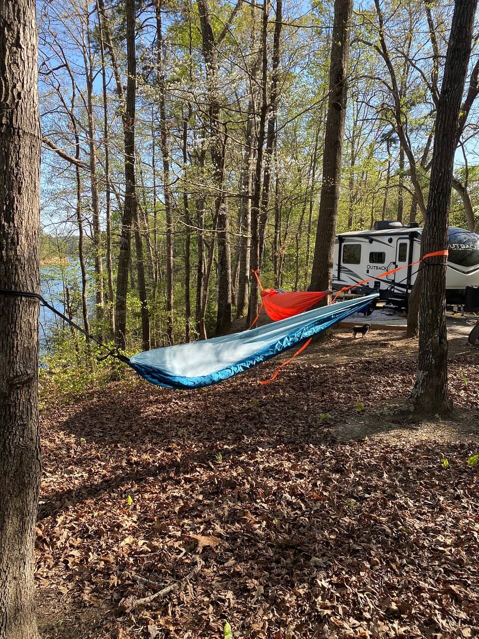 Nature Trail Adventure