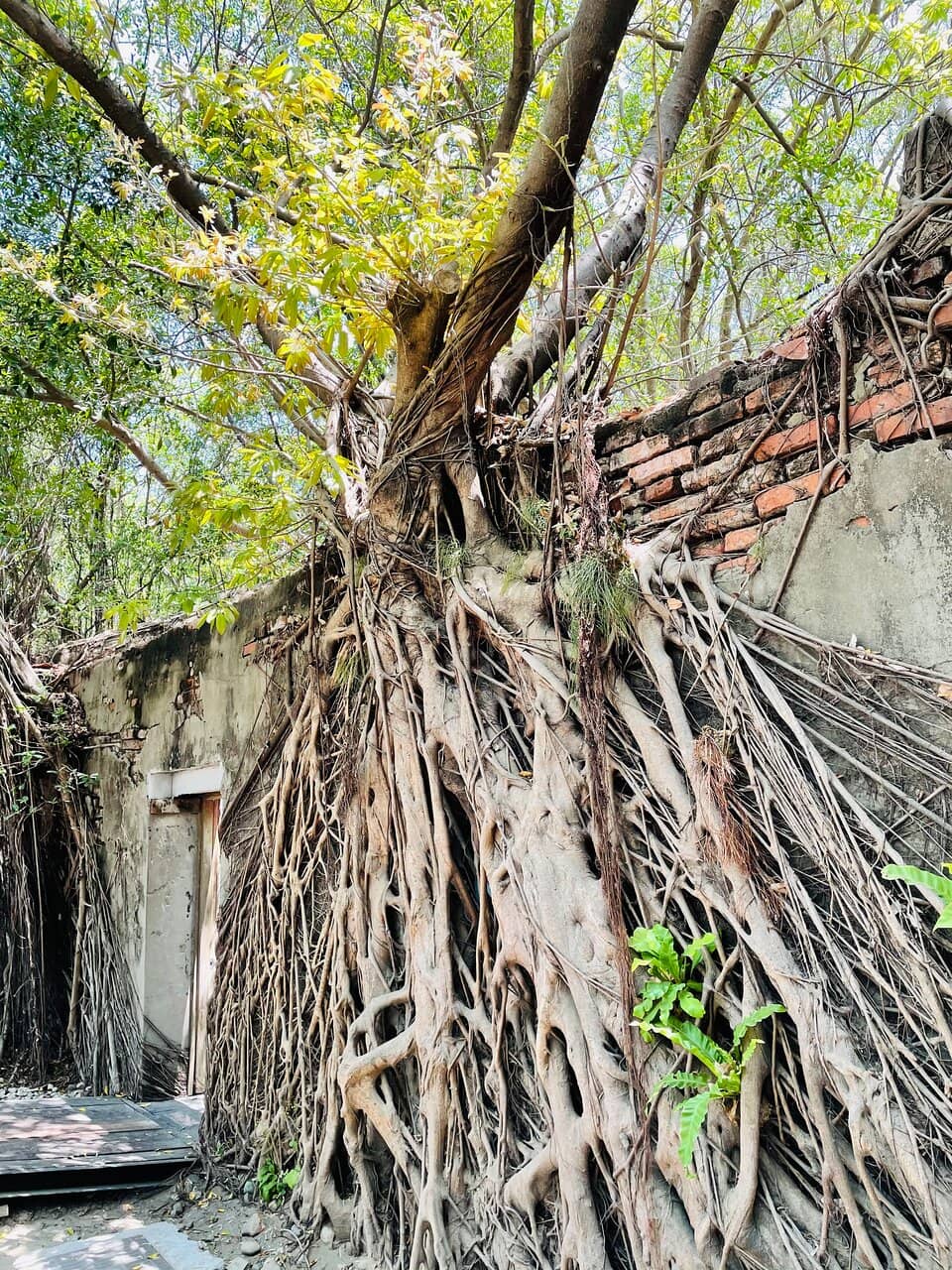 Photo Opportunities Galore