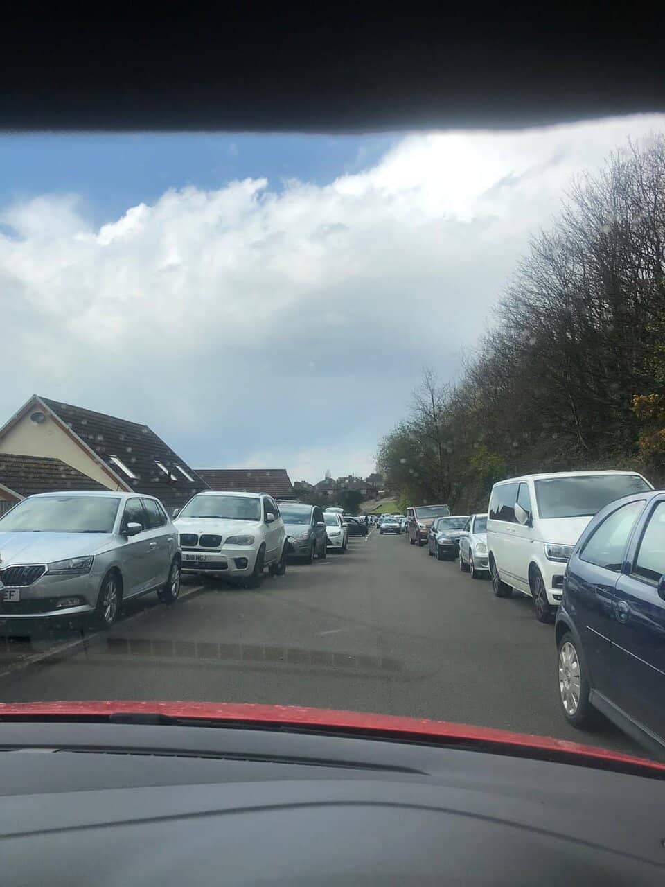 Peaceful Nature Escape