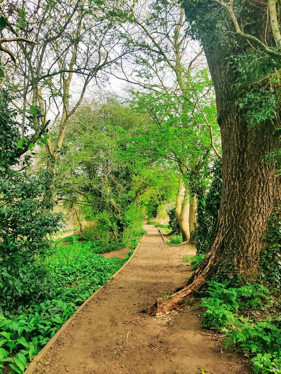Children's Playground