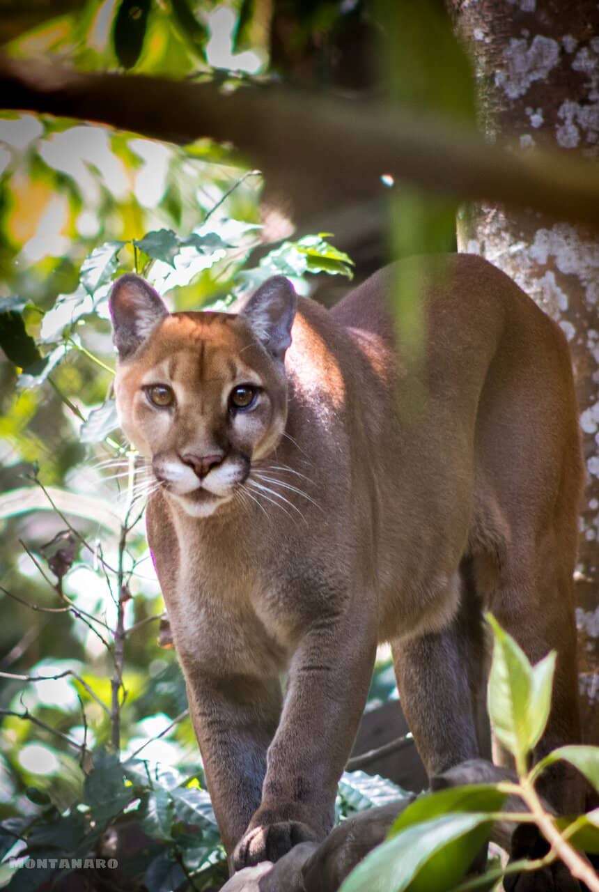 Reptile House Encounters
