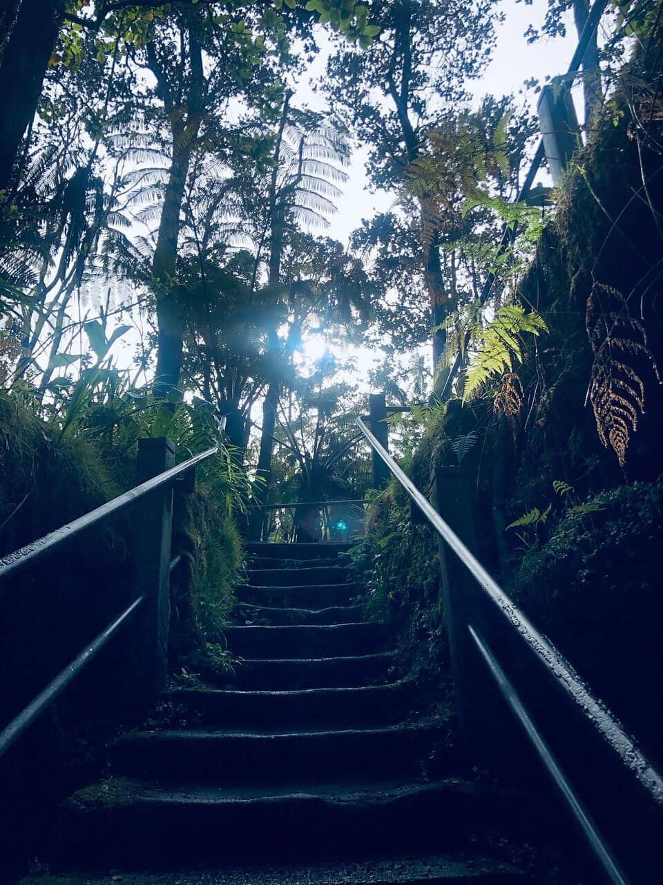 The Lava Tube Itself