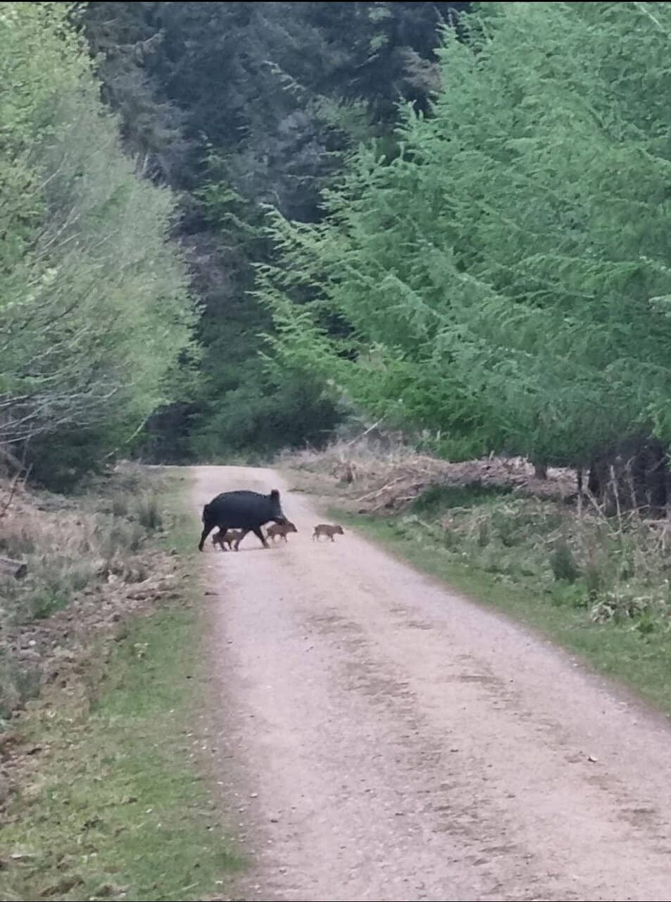 Roman Temple & Baths