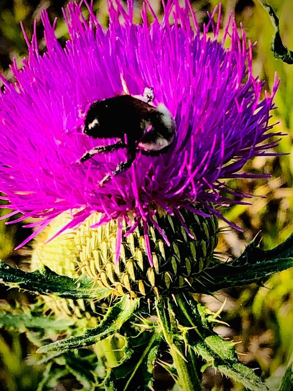 Zorinsky Lake Loop Trail