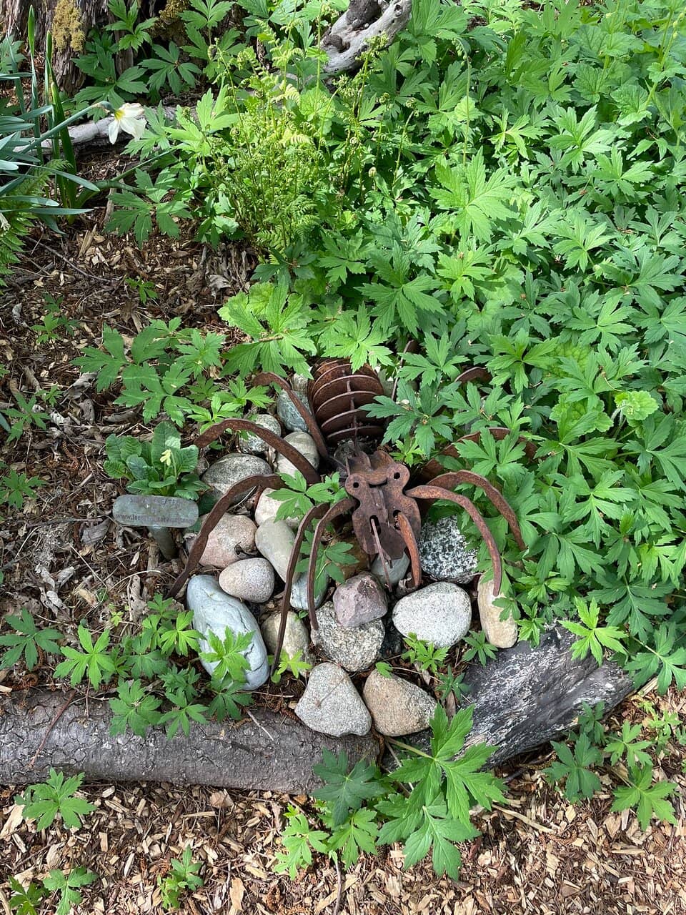 Educational Vegetable Gardens