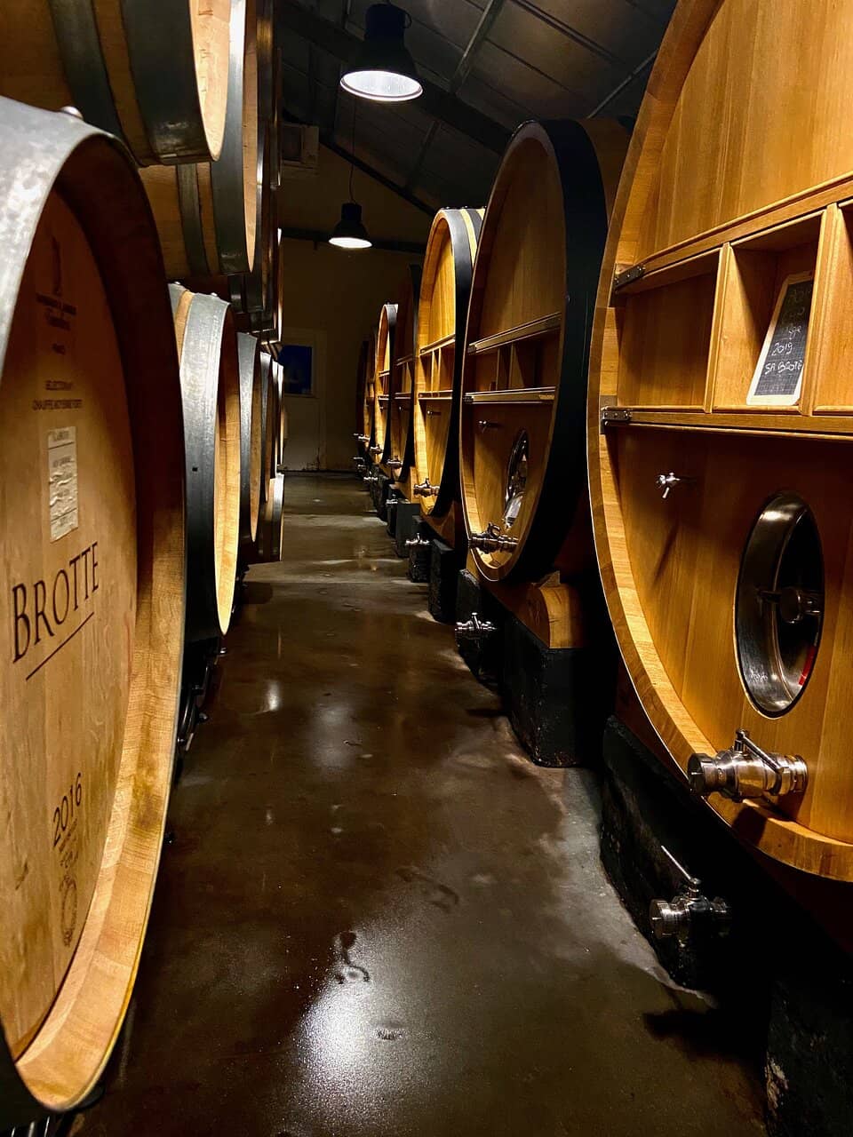 Guided Wine Tastings