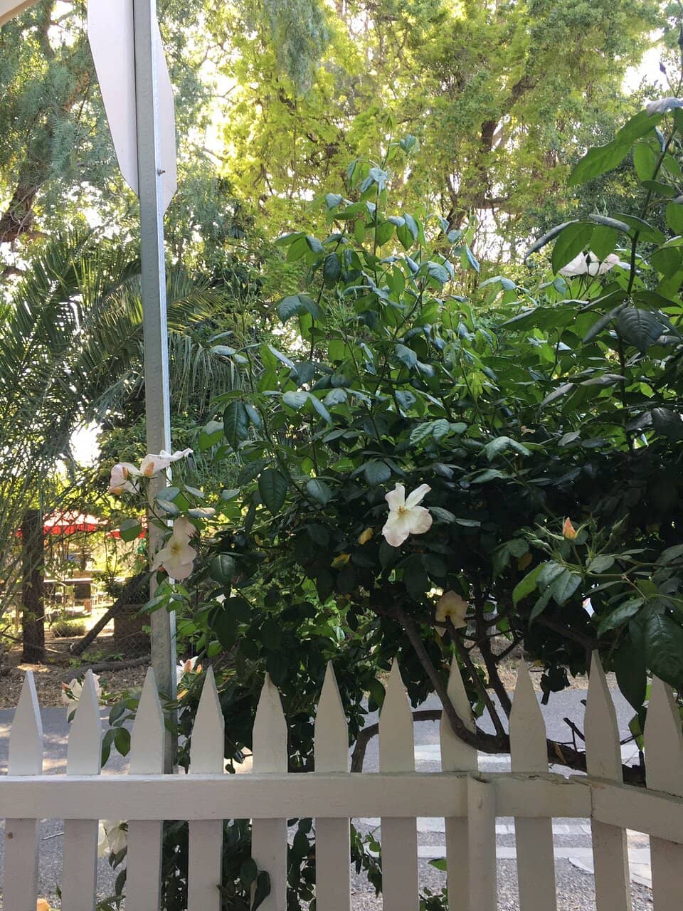 Knowledgeable & Friendly Staff