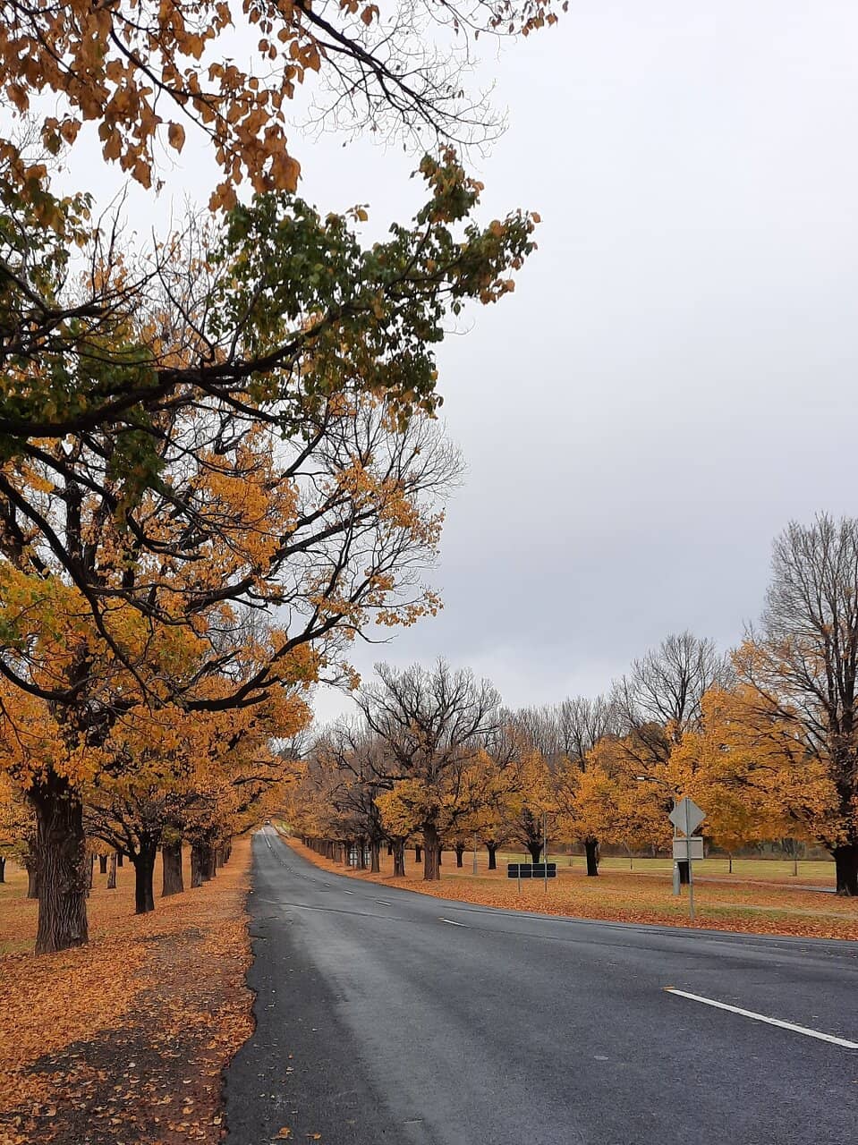 The Booloominbah Homestead