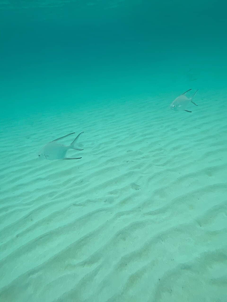 Secluded Hiking Trail