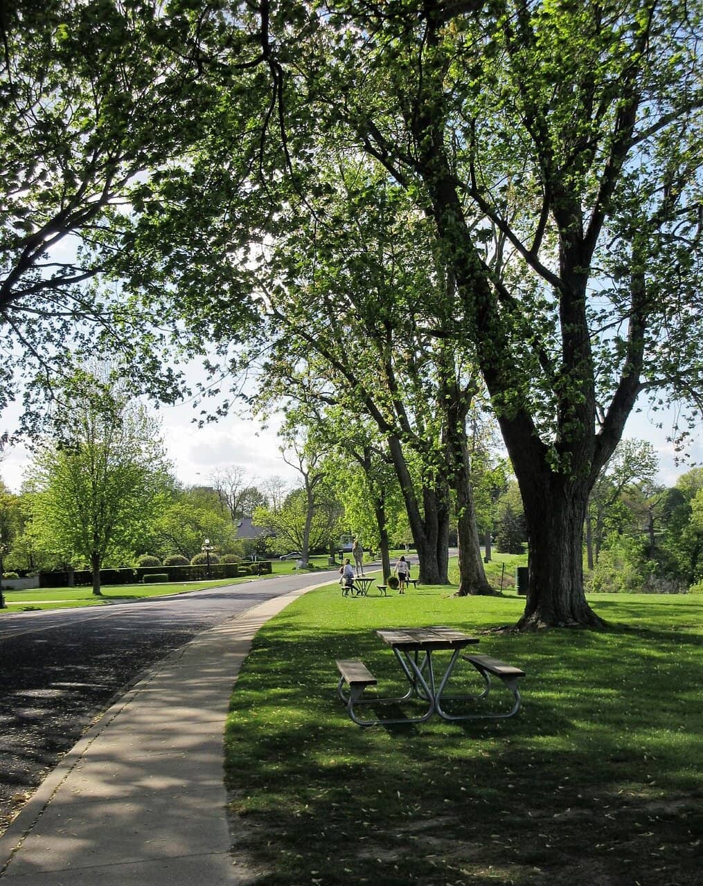 Christmas Wonderland