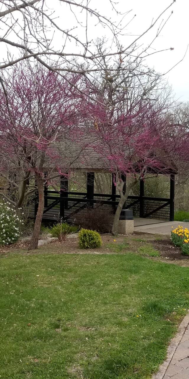 Gardens & Arboretum