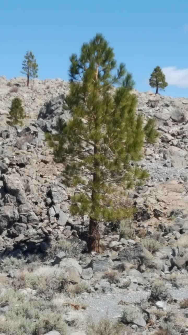 Vertical photo
