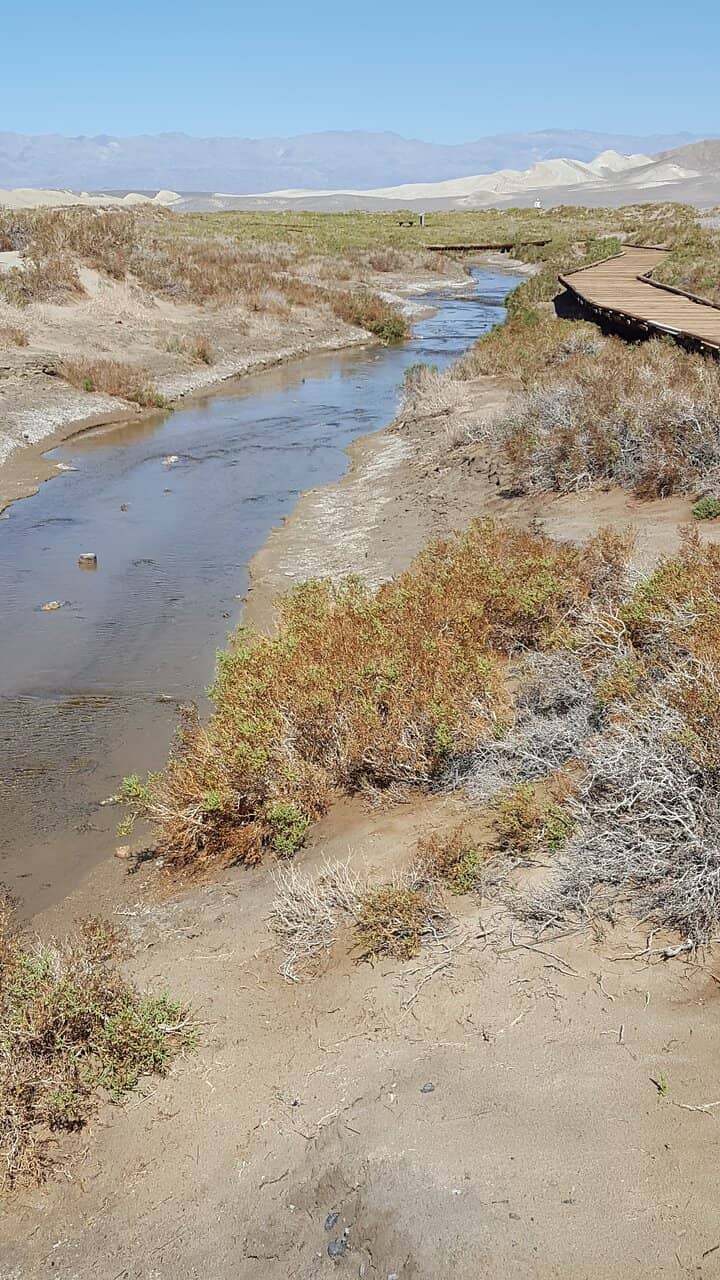 Desert Boardwalk Trail