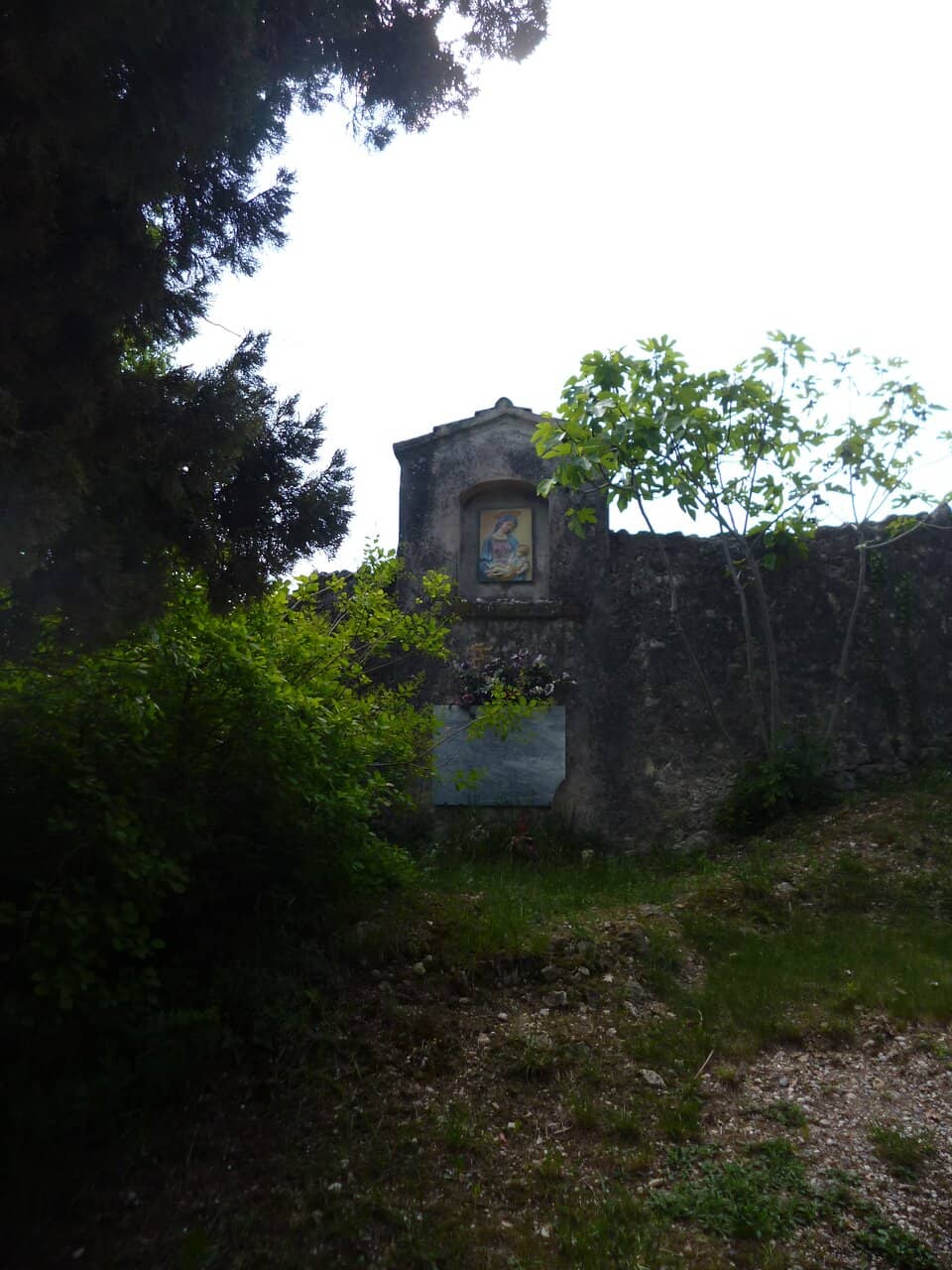 Vertical photo