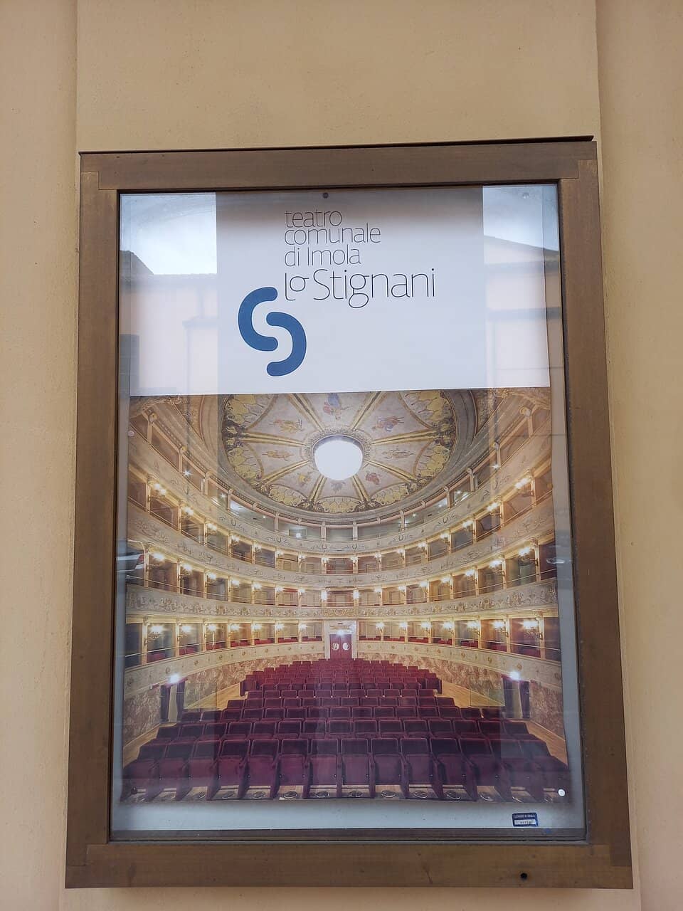 Live Music Performances