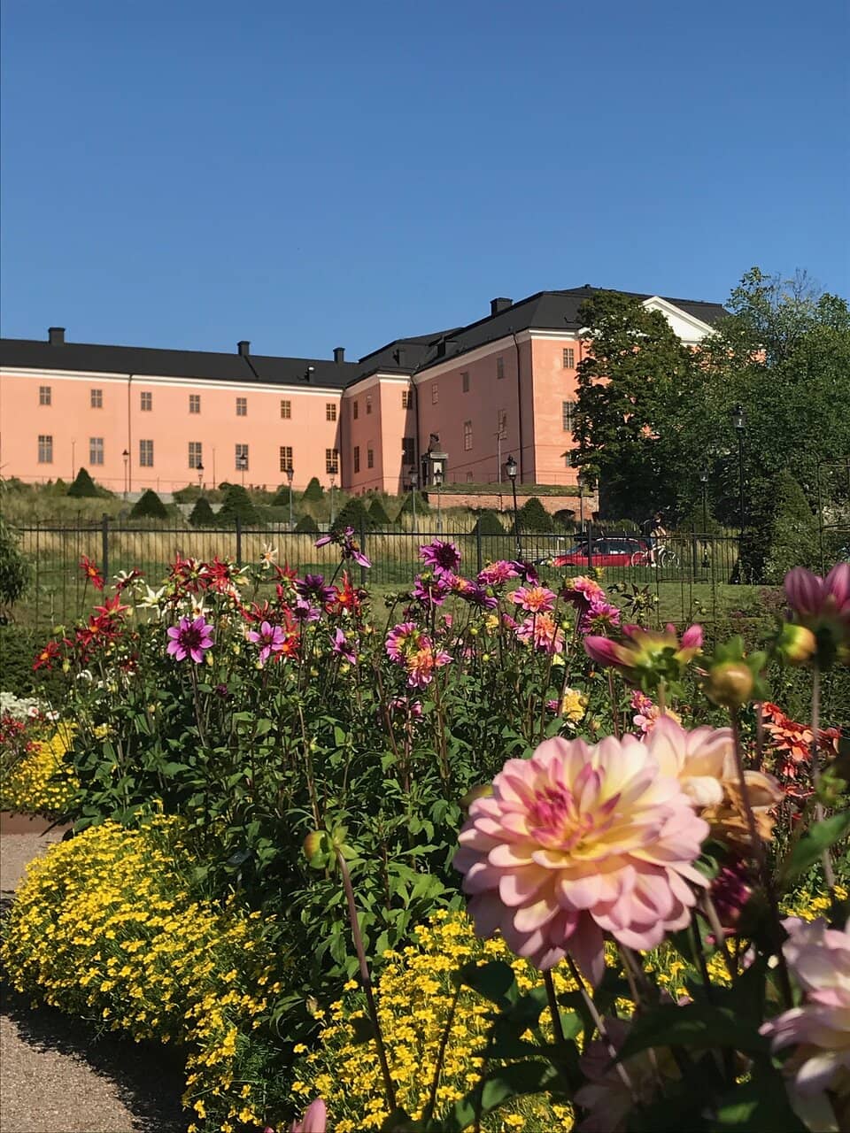 Carl von Linné's Bay Trees