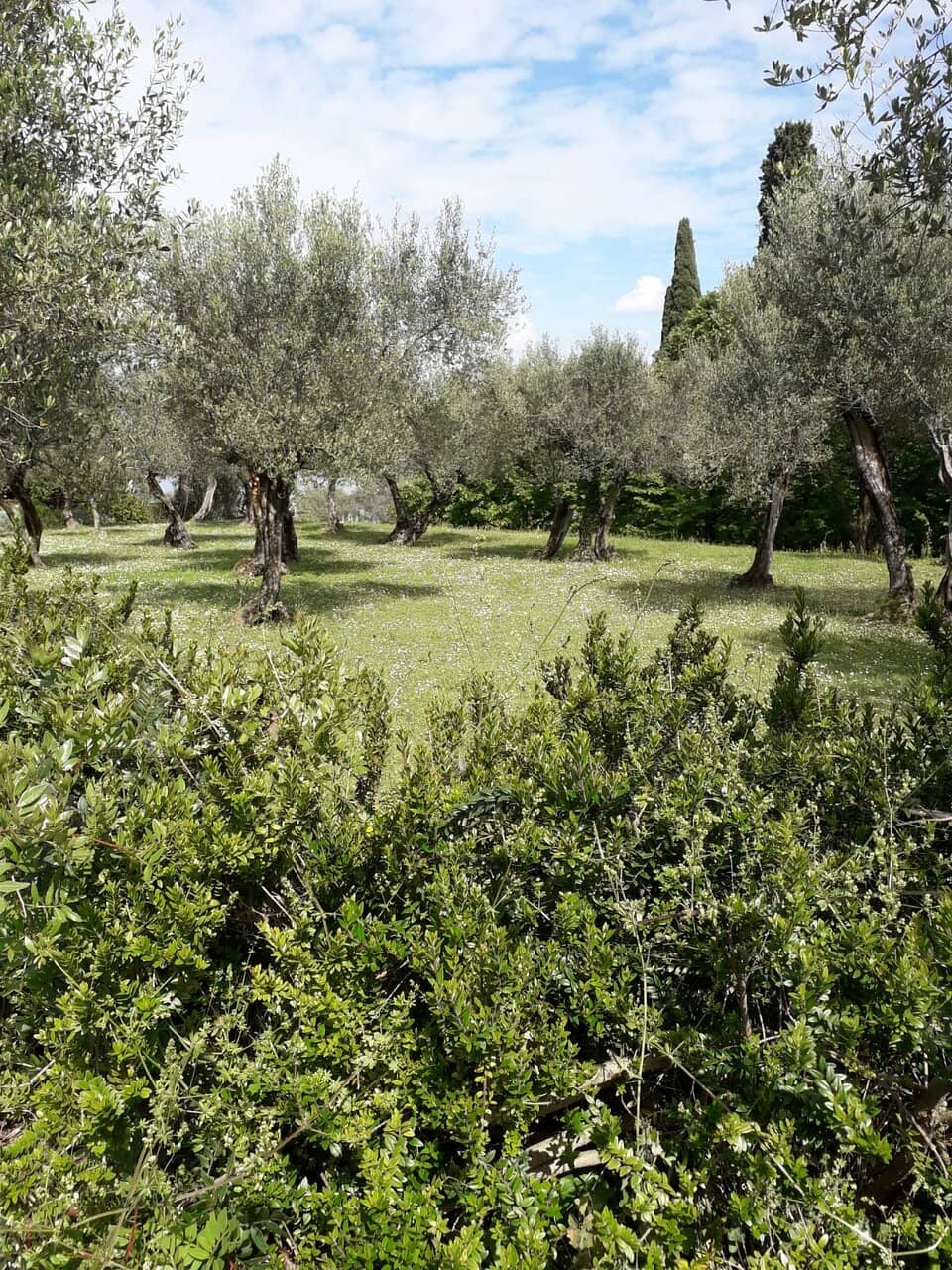 Valle delle Cartiere