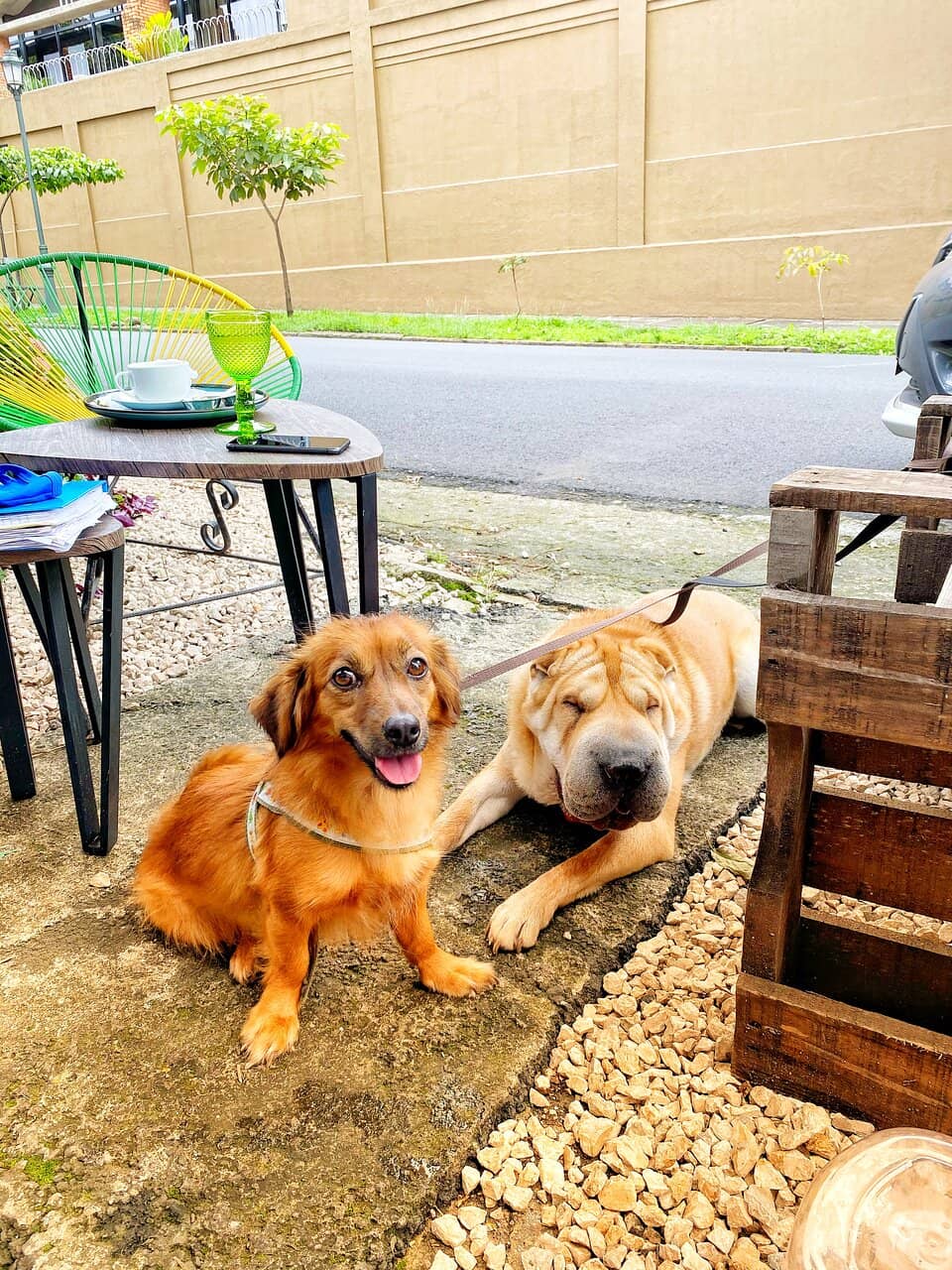 Specialty Coffee and Work-Friendly Atmosphere