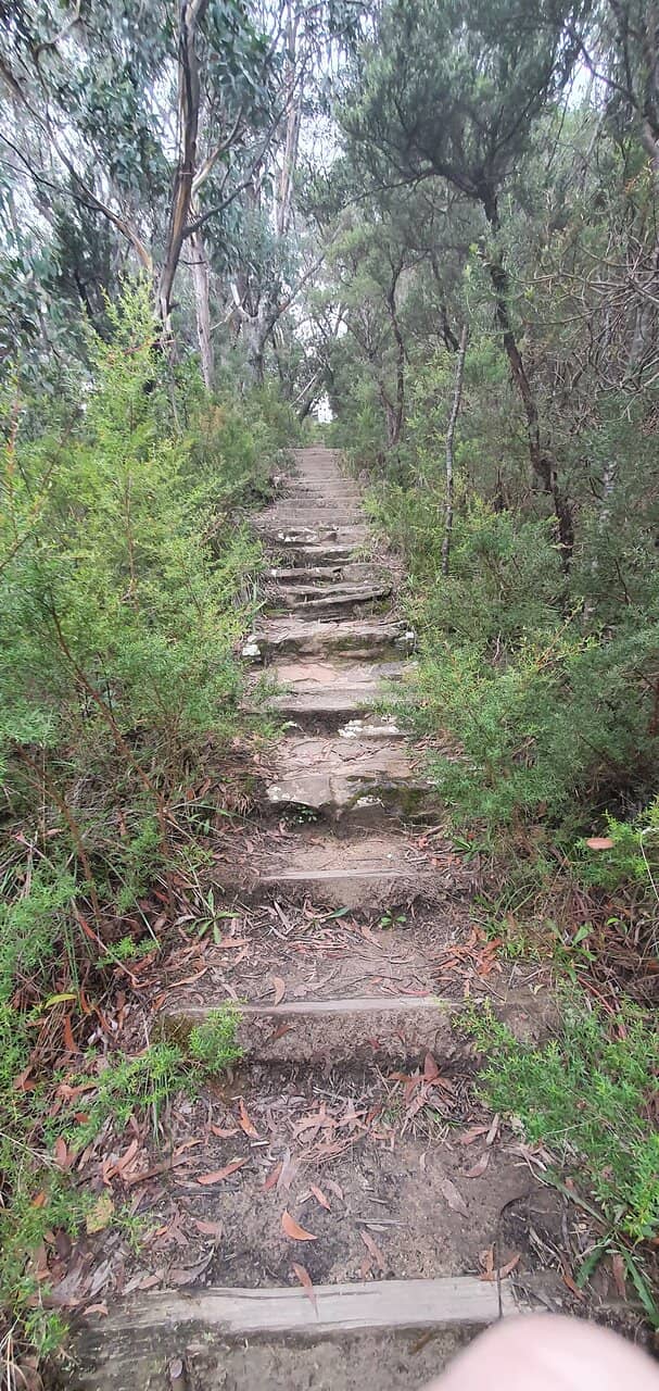 Panoramic Jamison Valley Views