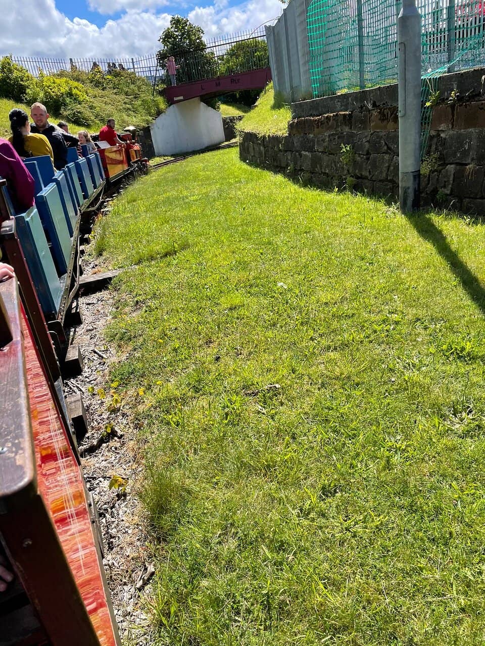 Peaceful Lakeside Views