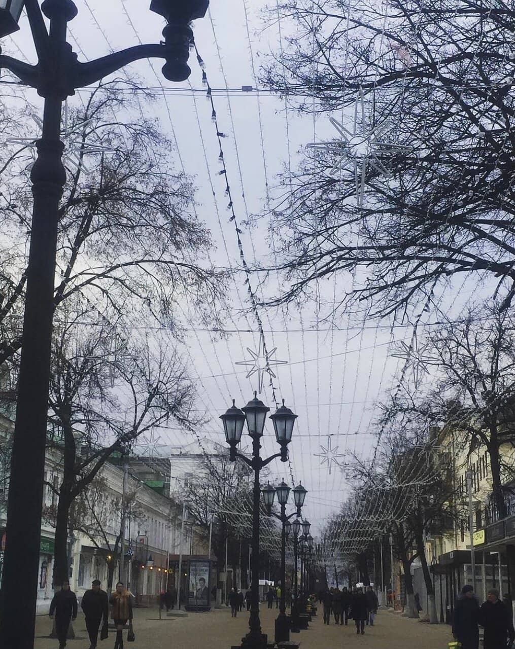 Vertical photo