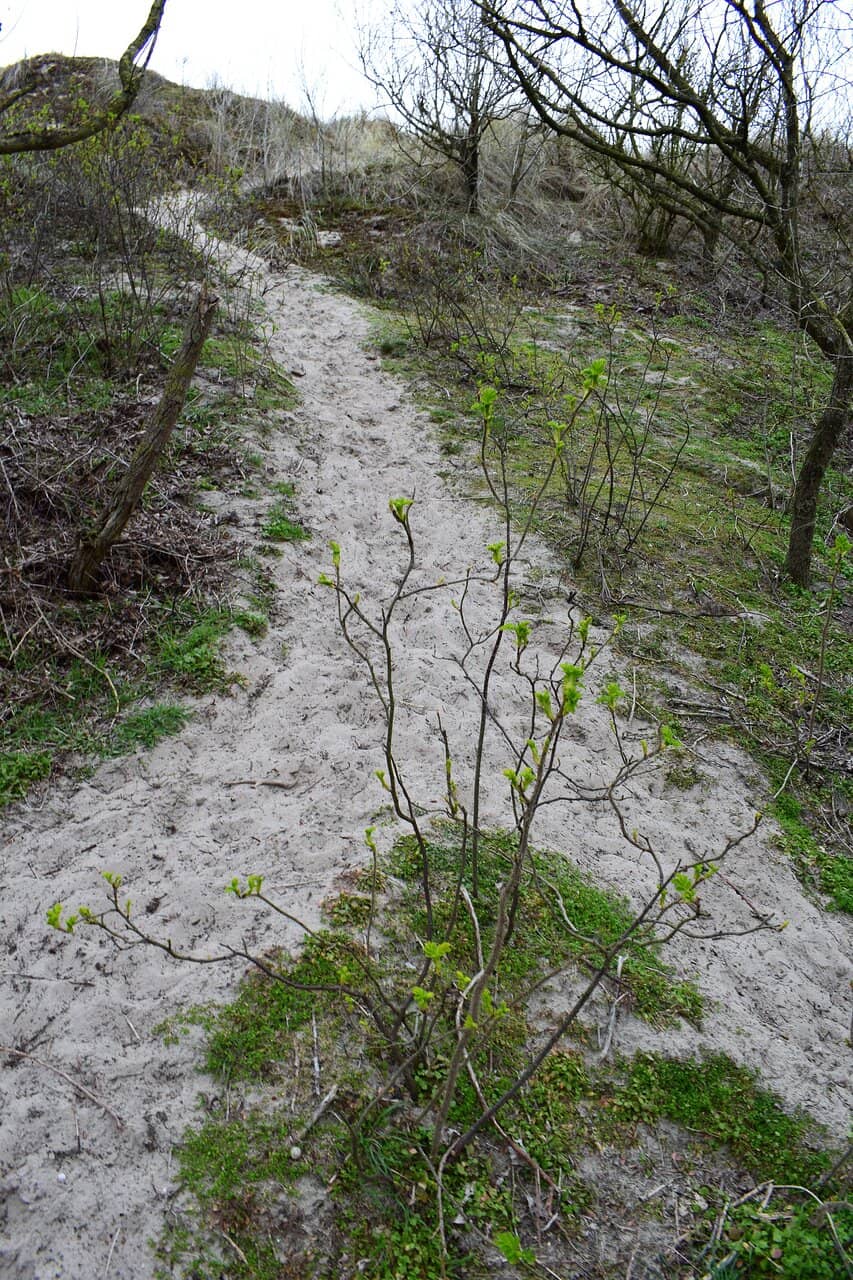 Blankenbergse Fonteintjes