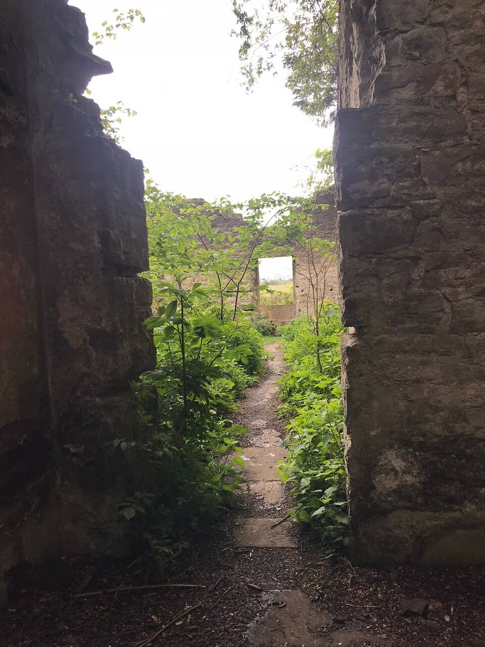 Vertical photo
