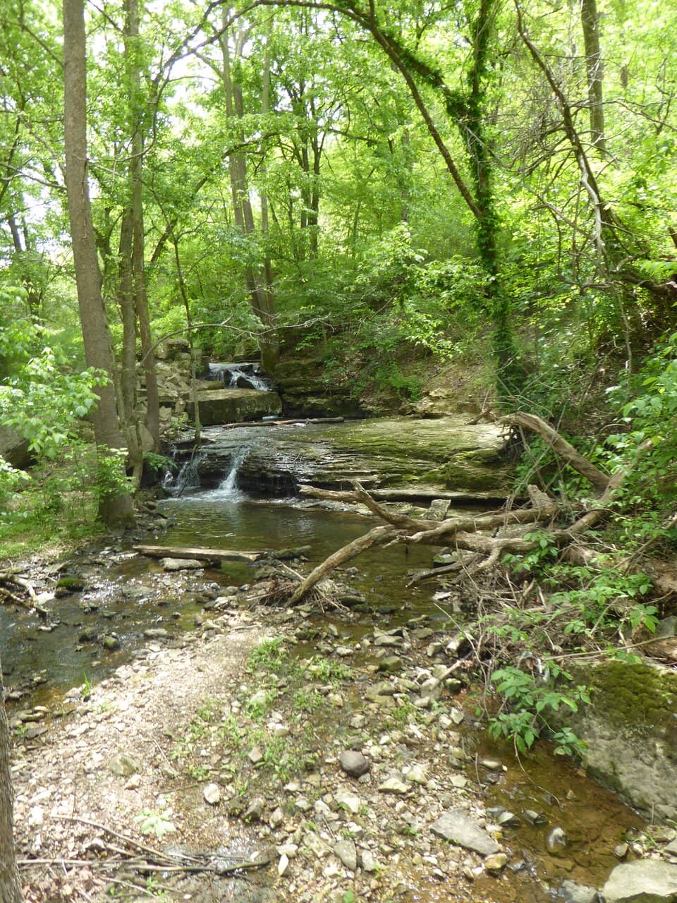 Bluff Trail