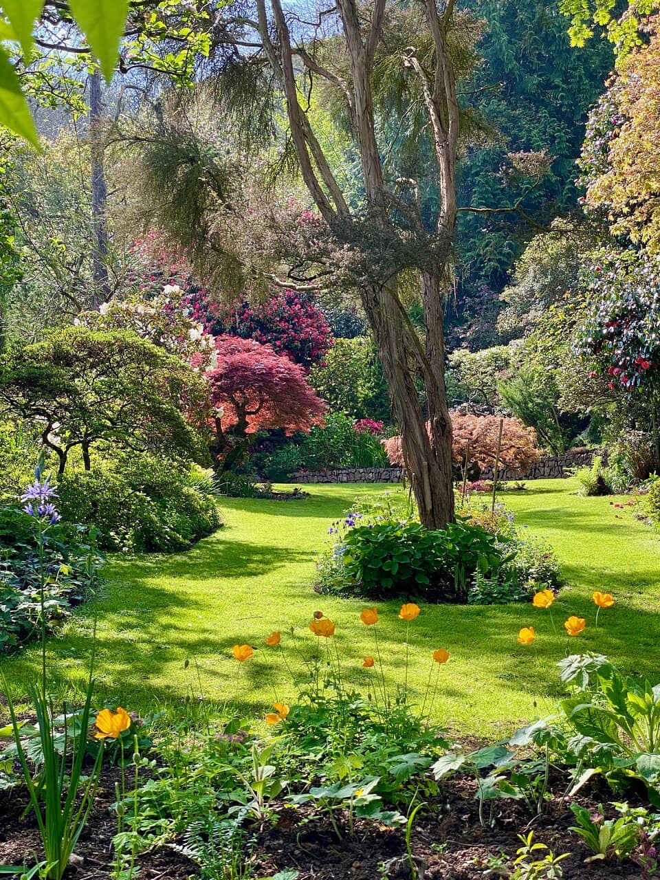 Woodland Paths