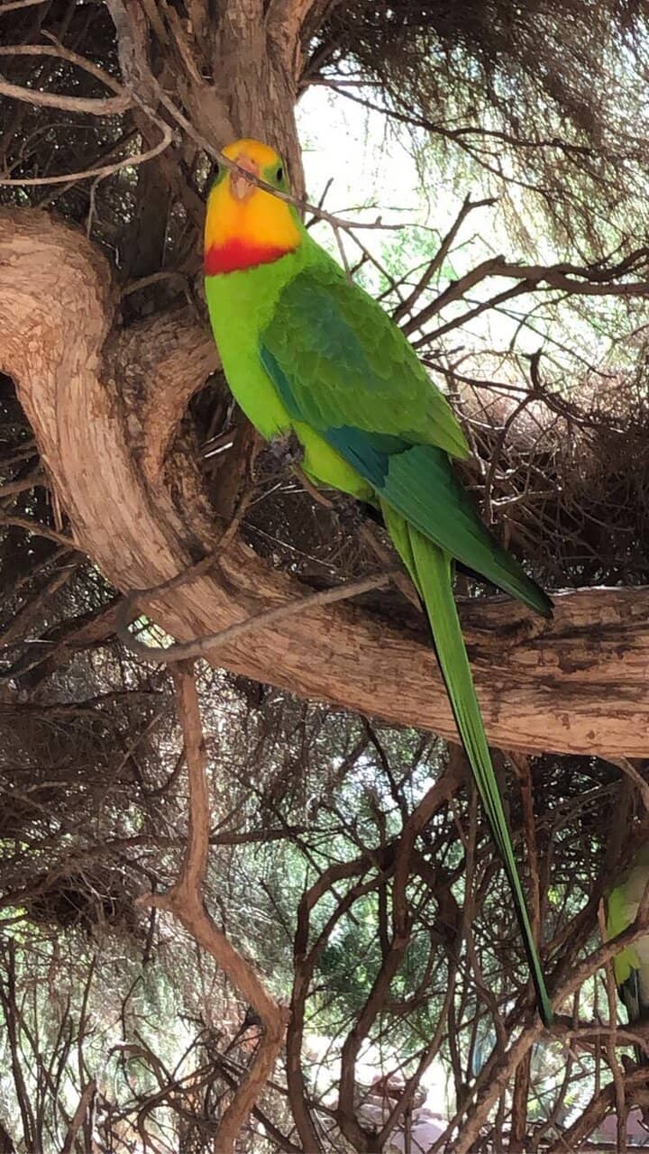 Tropical Gardens & Waterfalls