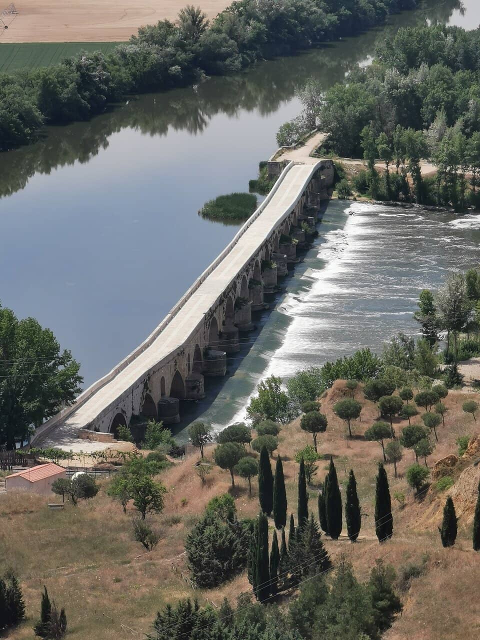 Vertical photo