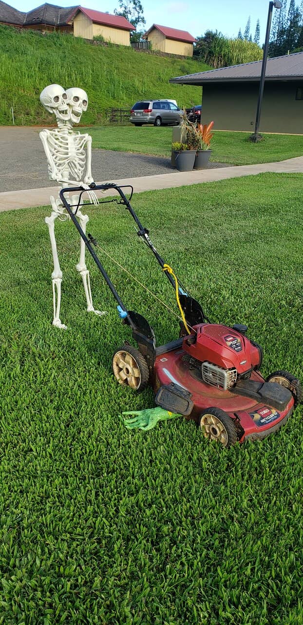 Rainbow Eucalyptus & Aloha Sign