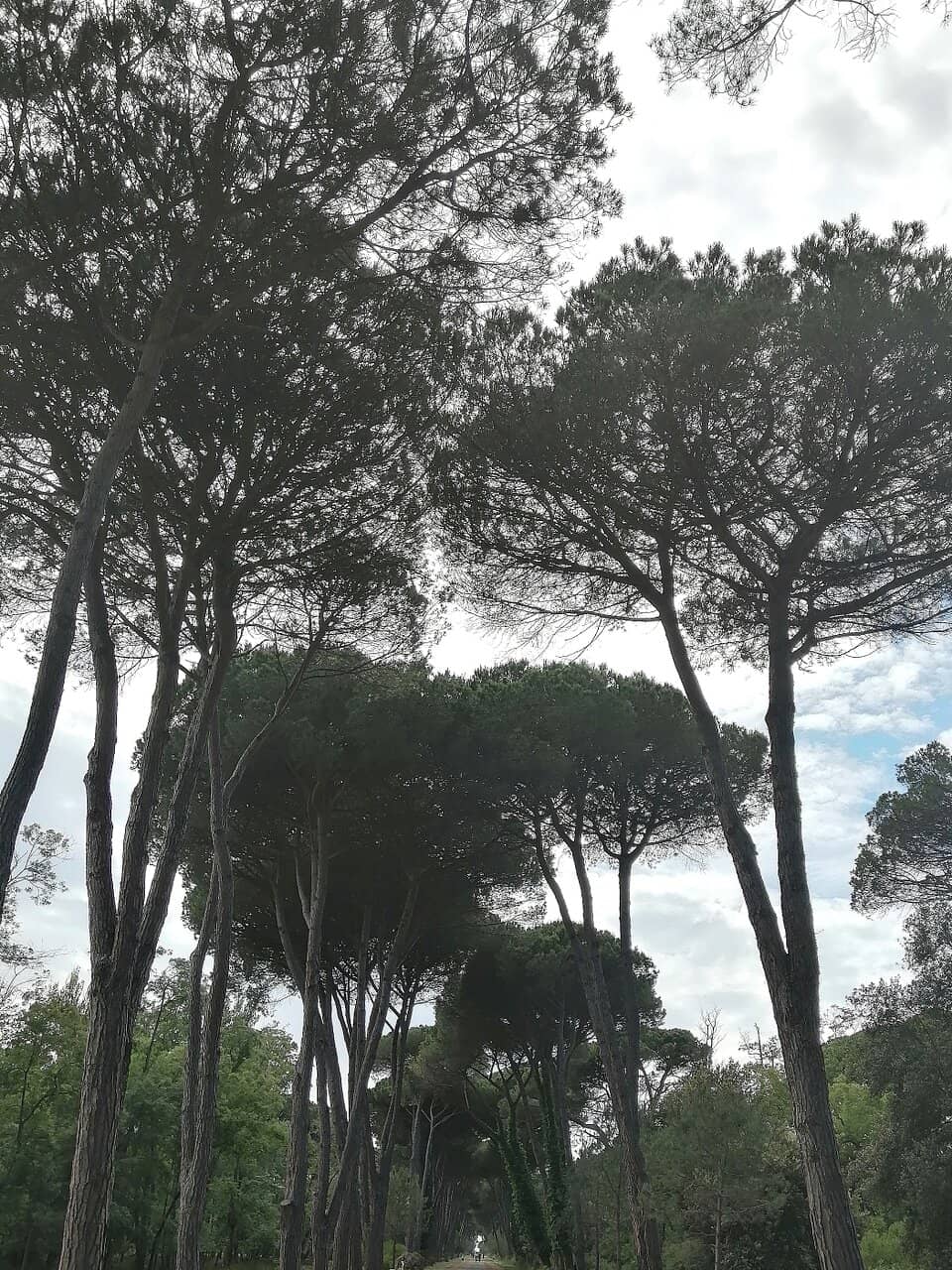 Vertical photo