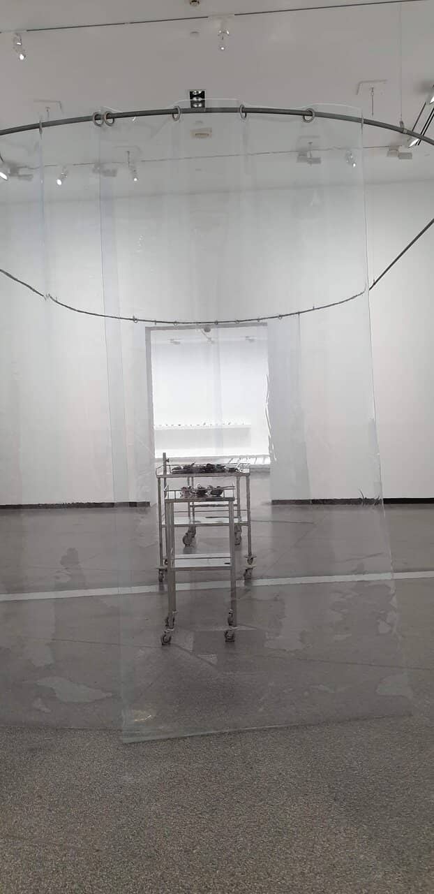 Indigenous Art Showcase