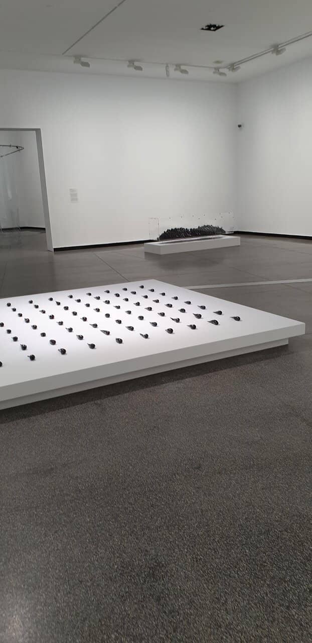 Thoughtfully Curated Exhibitions