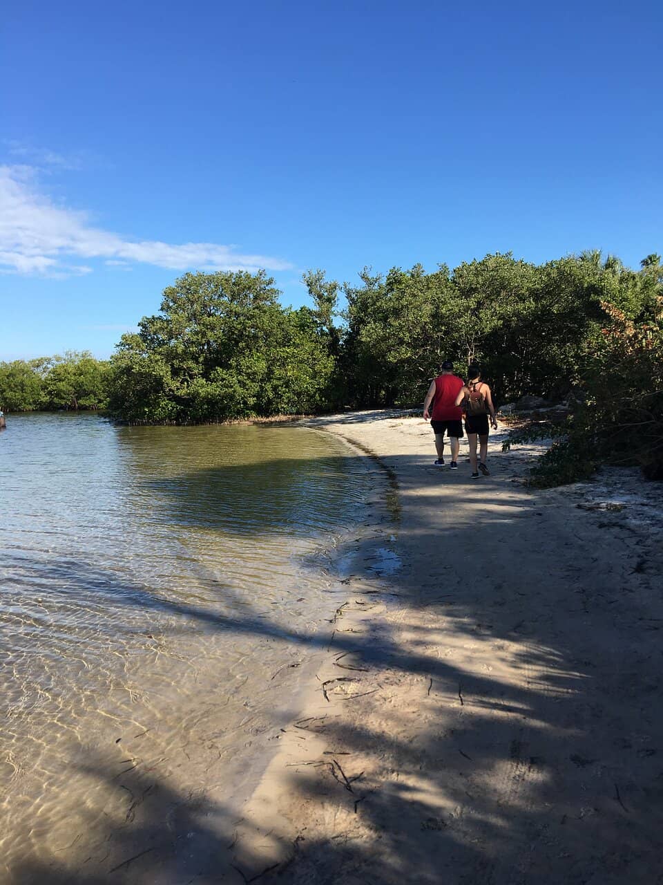 Coastal Boardwalk