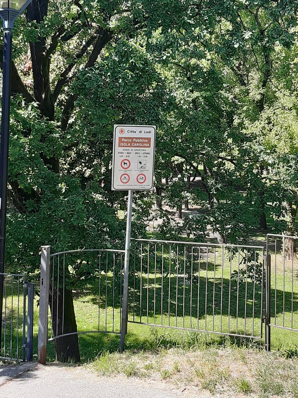 Vertical photo