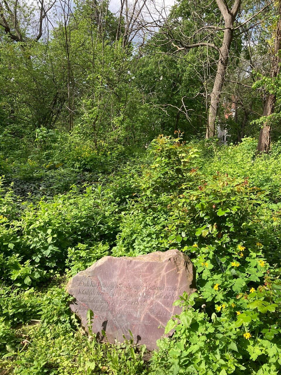 Vertical photo