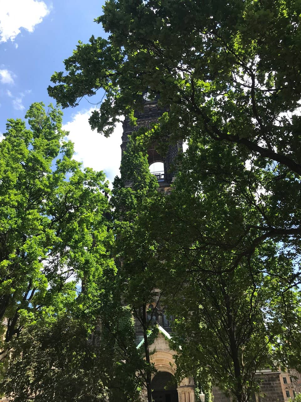 Vertical photo