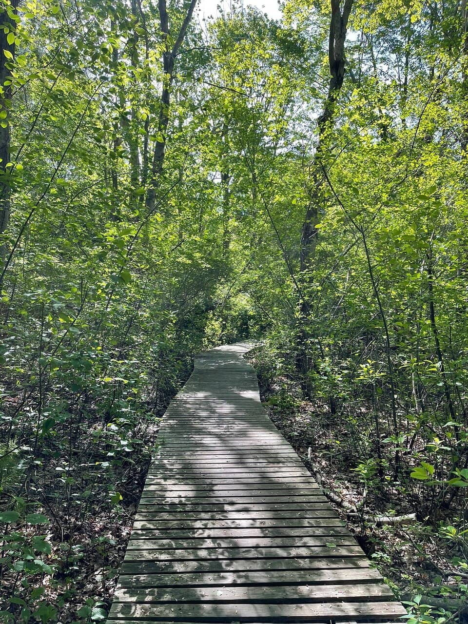 Bird Watching Hotspot