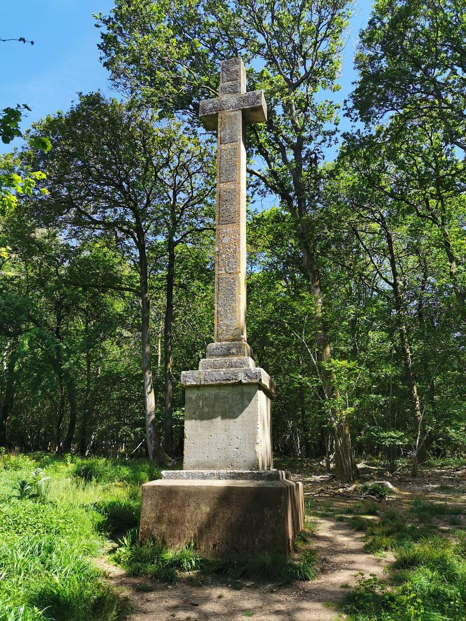 Vertical photo