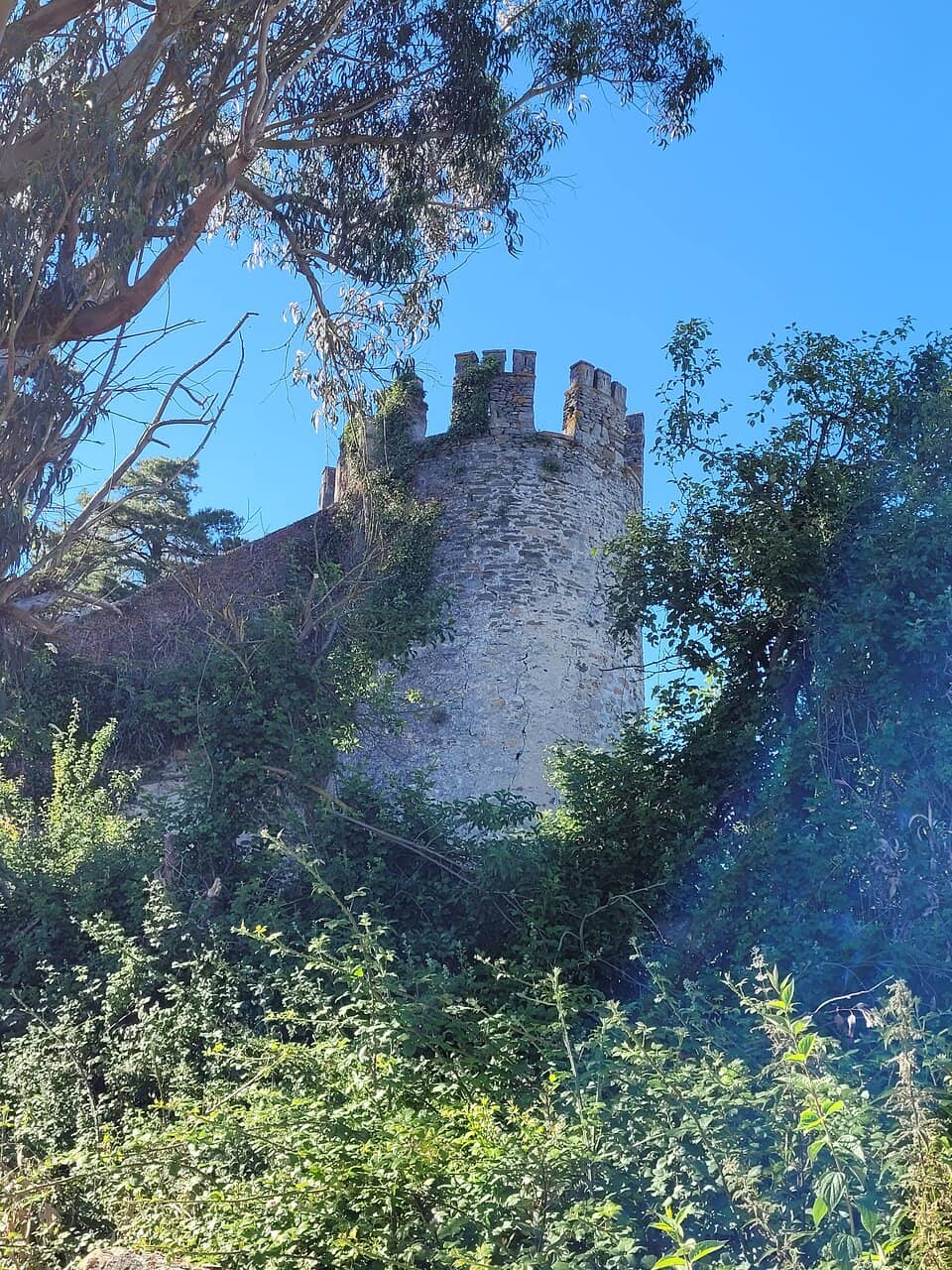 Remnants of the Marquis Fort