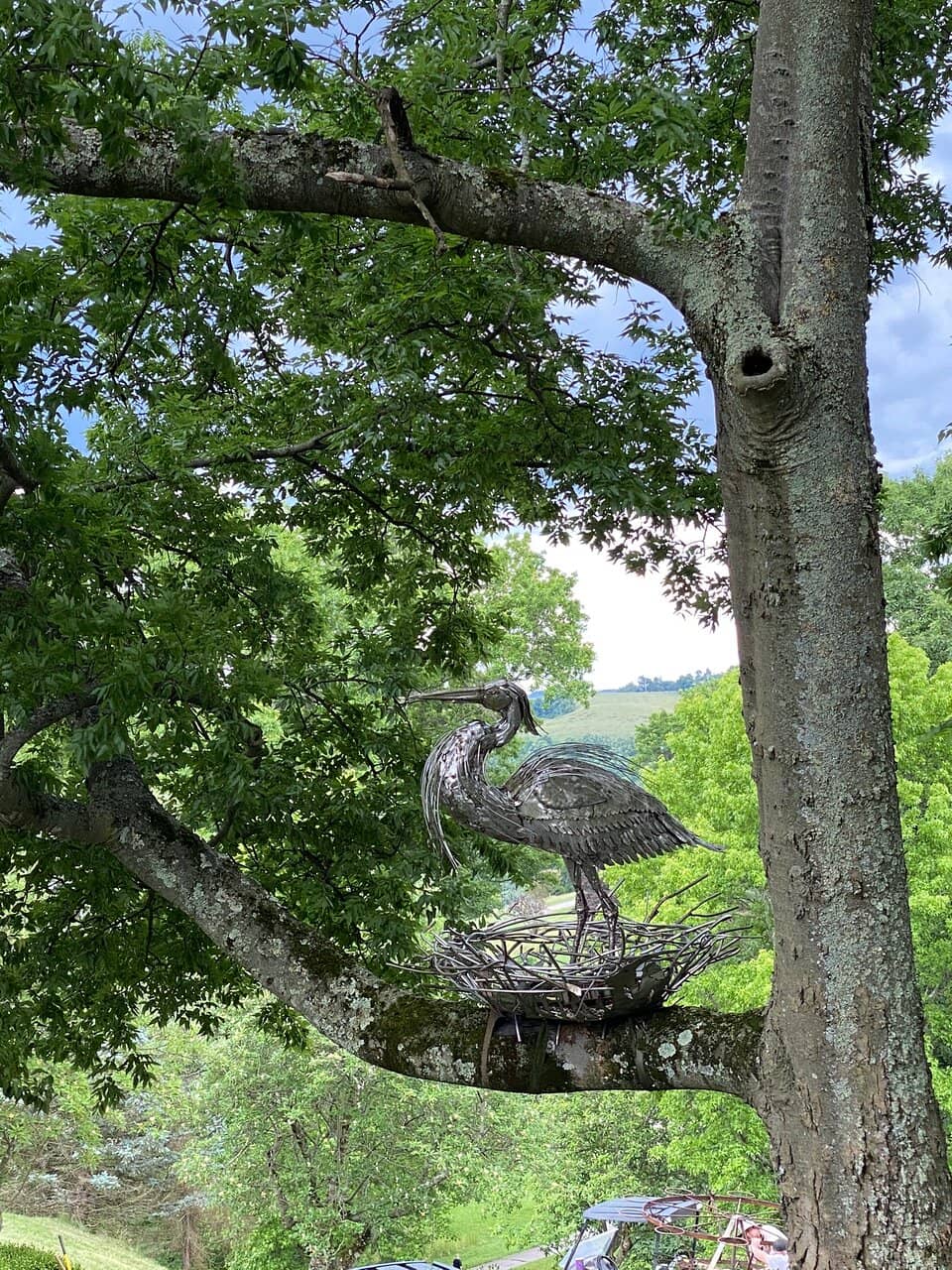 Beautiful Gardens