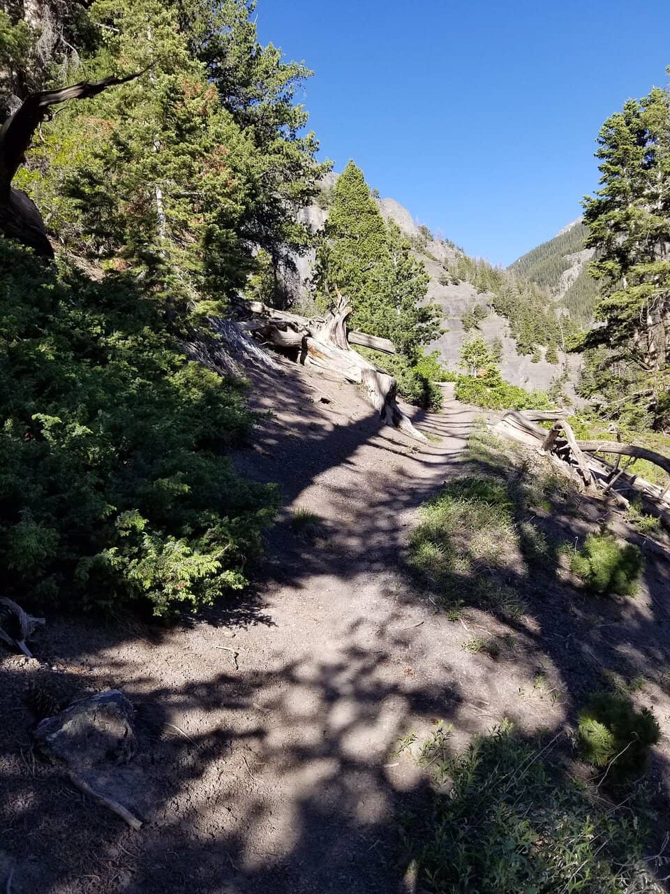 Mining History Markers