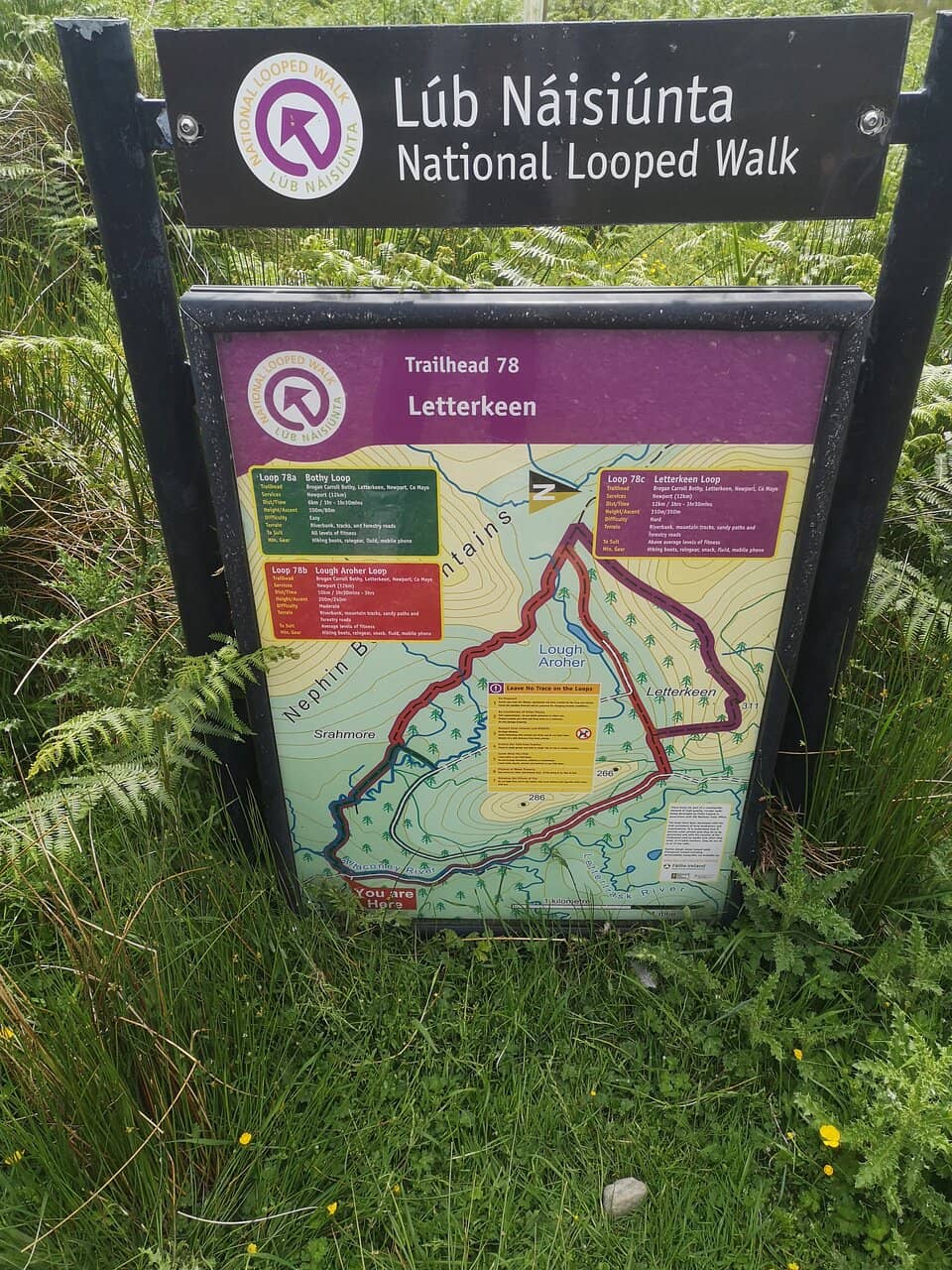Authentic Forest Trail
