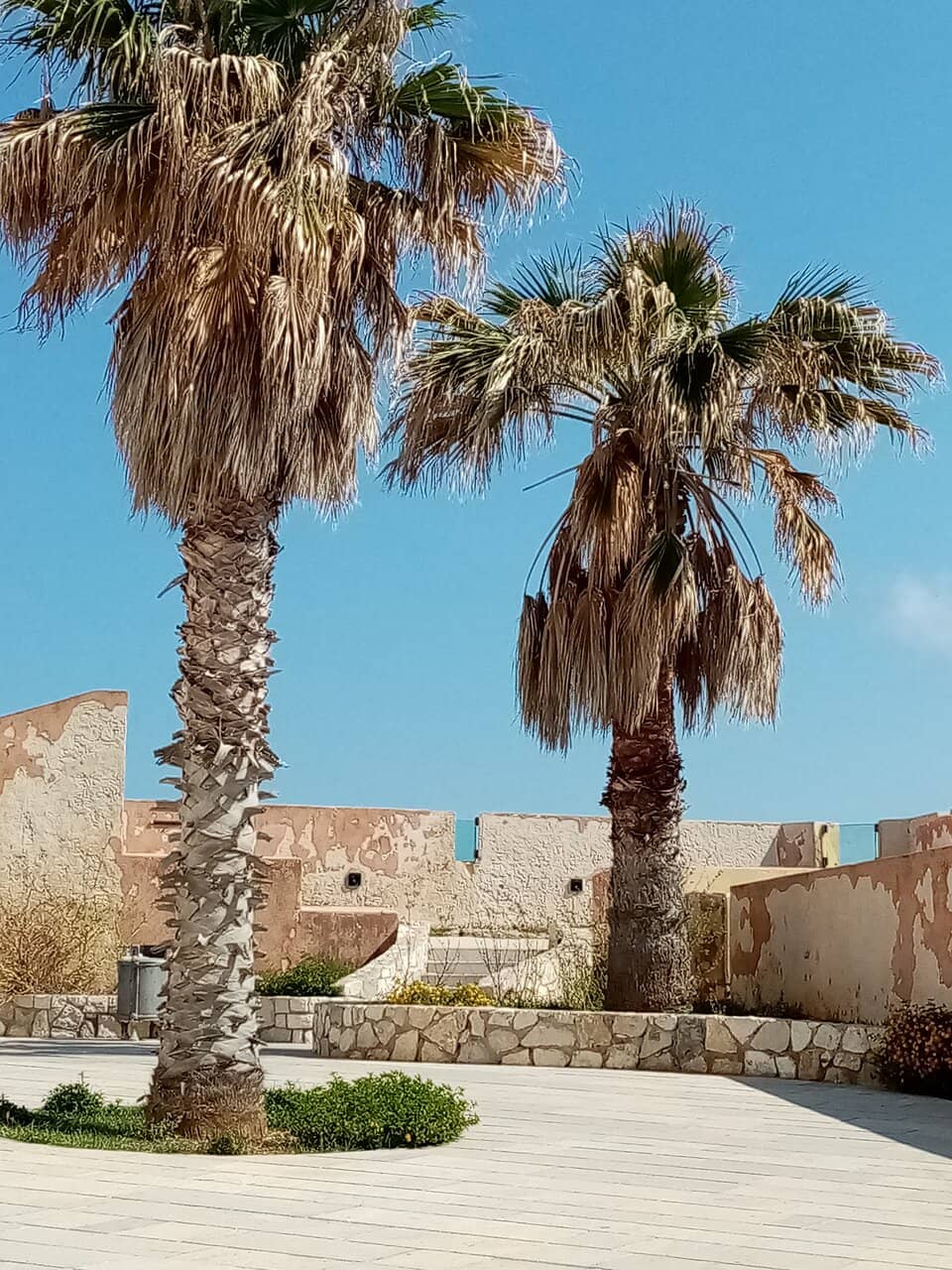 Vertical photo