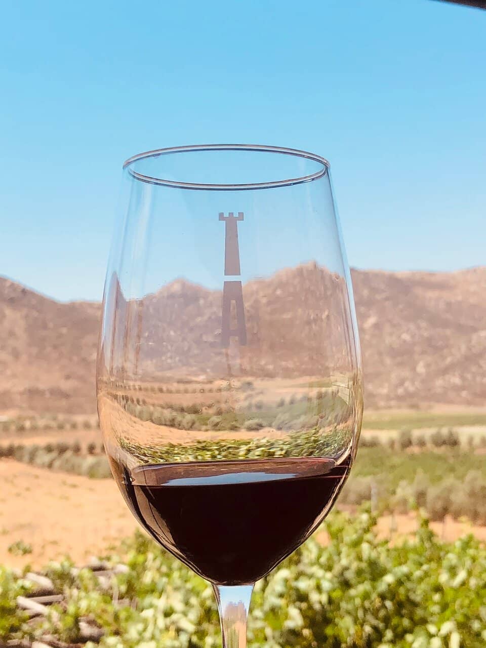 Family Winemaking History