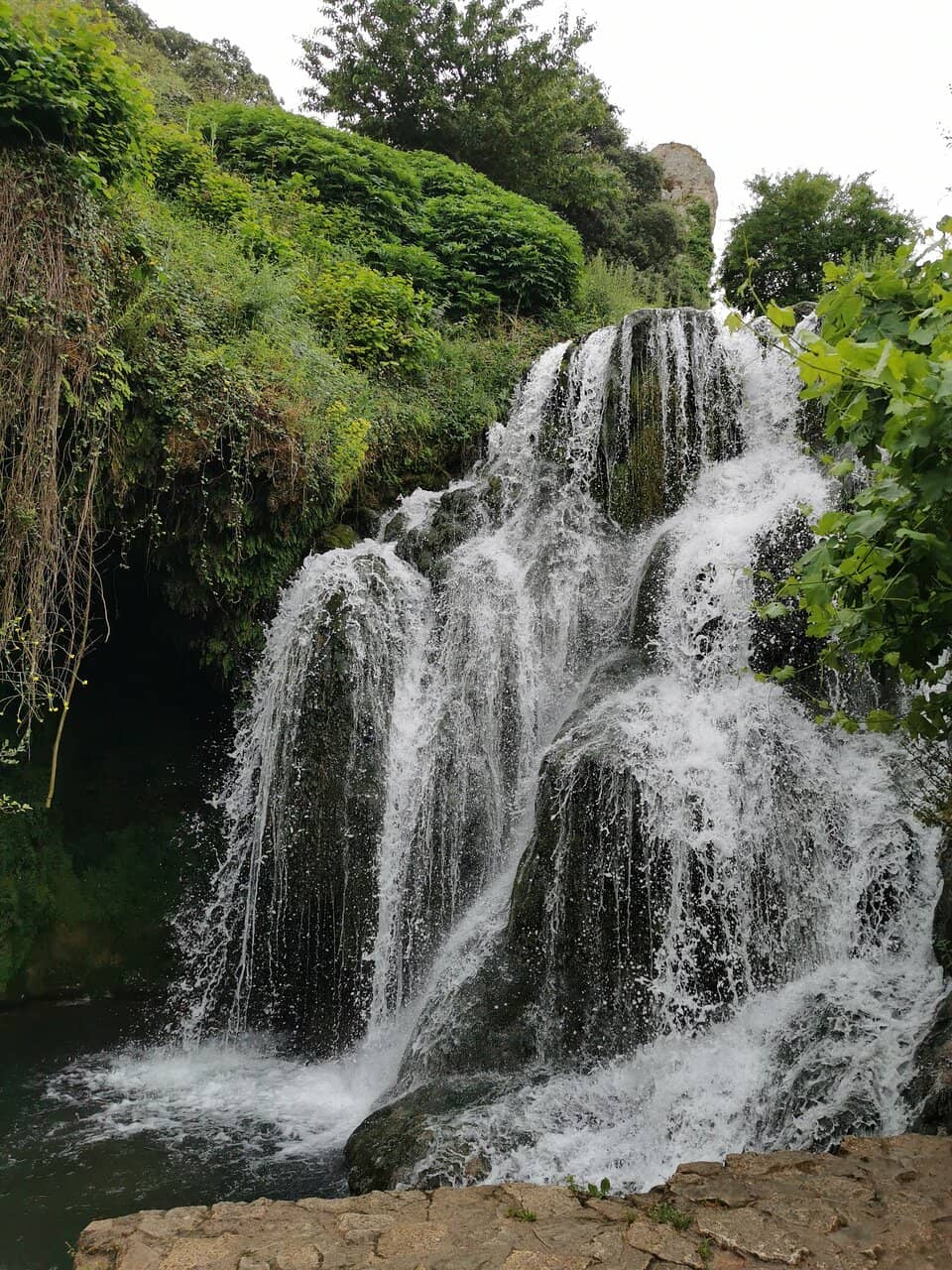 Vertical photo