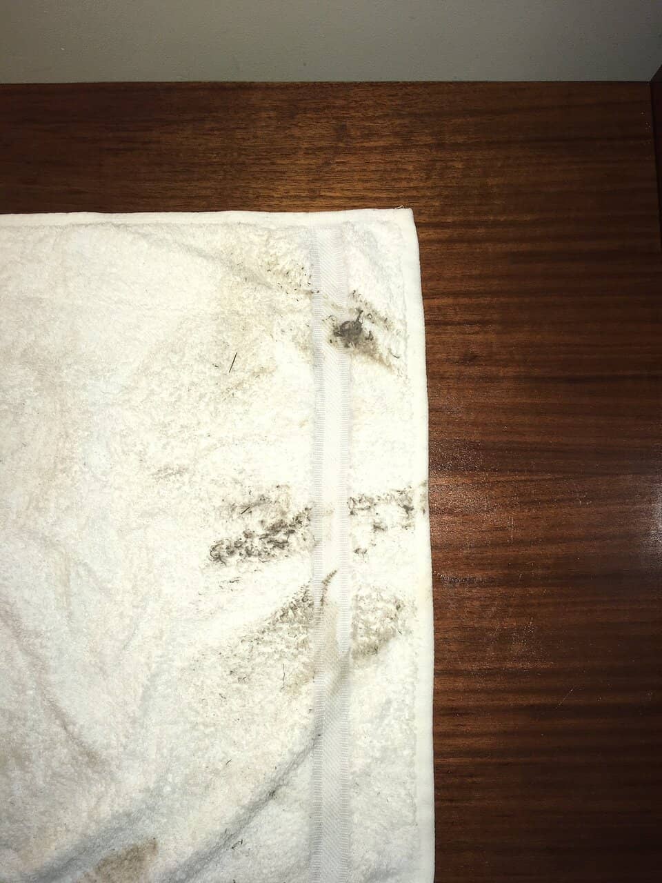 Live Entertainment at Edge Bar